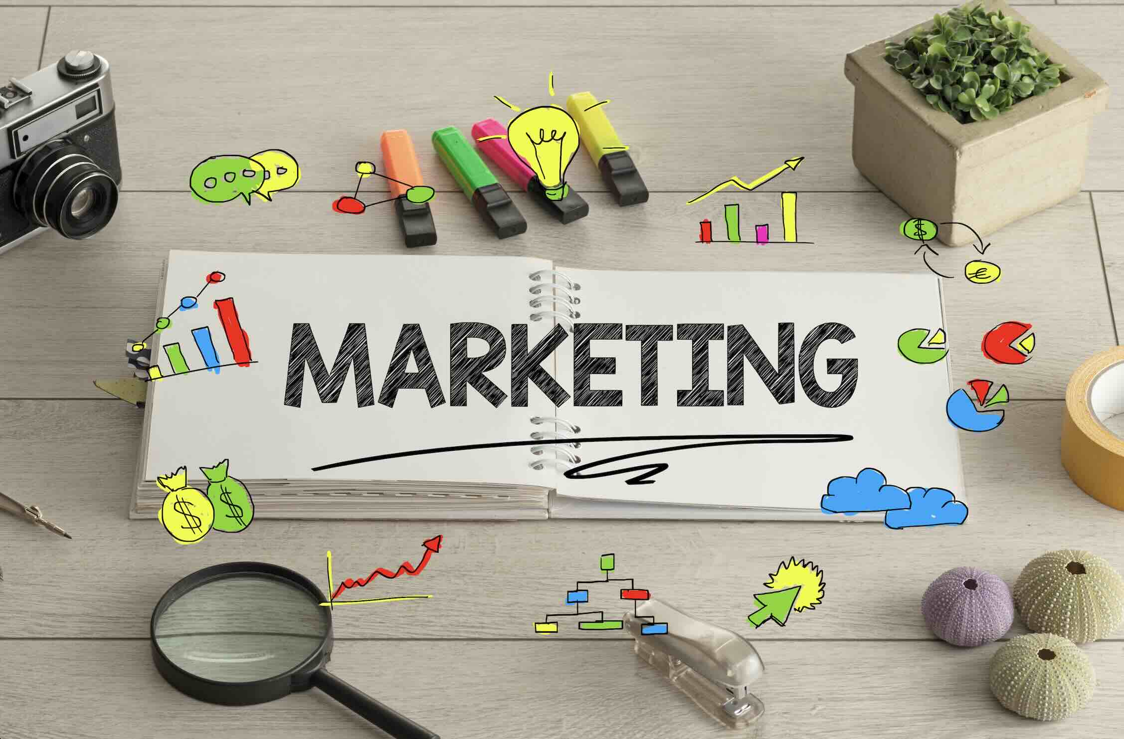 Meta Reklam Yönetimi