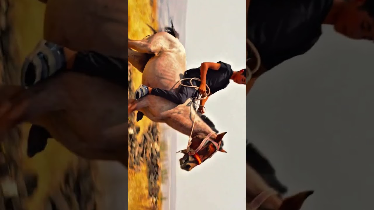 Gerek Medya video prodüksiyon projesi 12